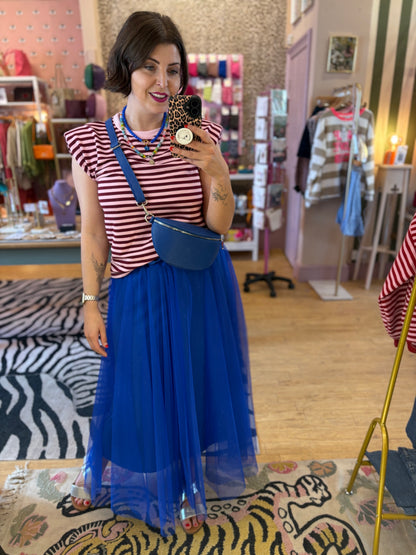 Ribbon Tulle Skirt