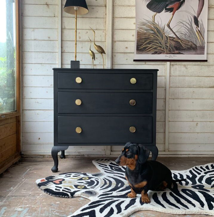 Black dresser with gold knobs in a room with a dog on a zebra-patterned rug.